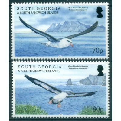 Albatros